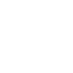 Doctors